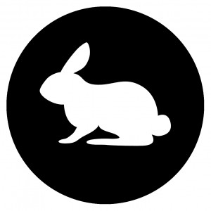 Hase-Logo-gross. Follo The White Rabbit.